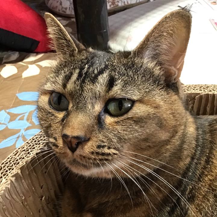 Ebd7aa91 8201 44ba 9921 30598d3e22d2 1728888725214