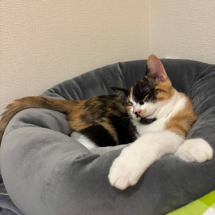 Ebd7aefa cd58 4c54 b6a4 661cbb22c836 1758703715356