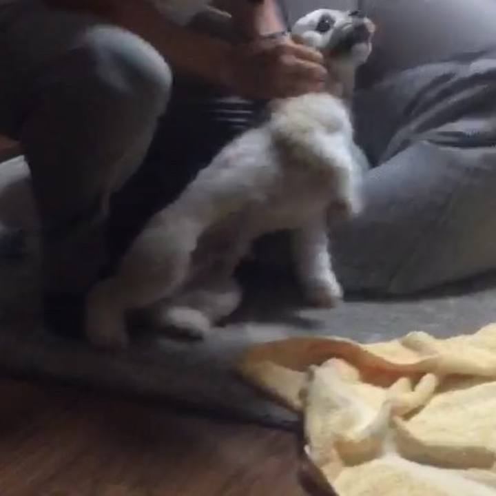 Ebd7d15f 1f1e 456d a00b 0af873282c18 1538087225711