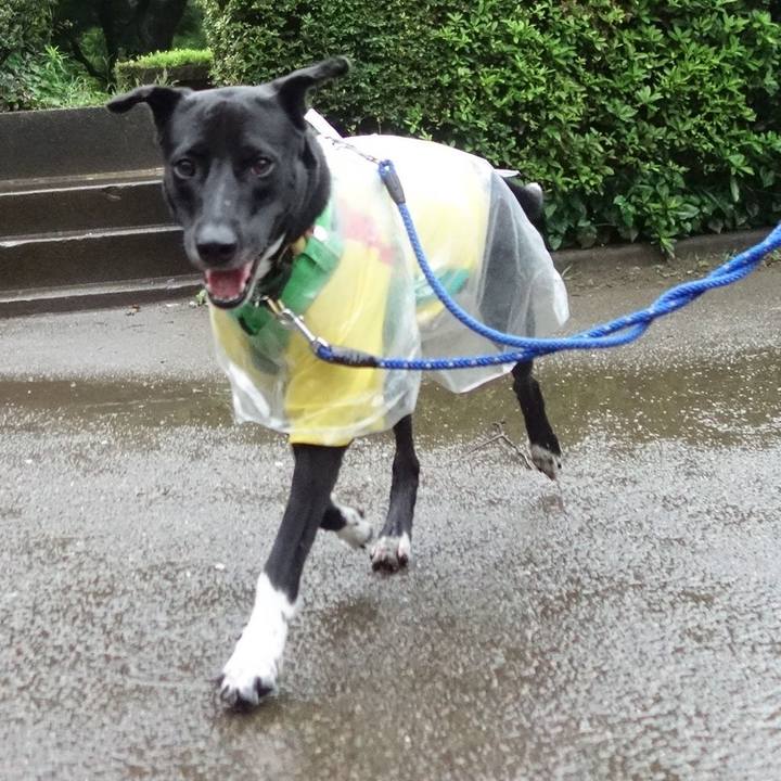 Ebd801de 92ae 4db2 8c76 9c5a2d40e04e 1595028087208