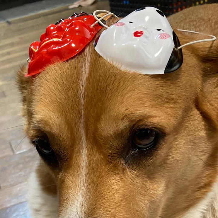 Ebd82801 c05a 4352 b85e 8fcdb62b4cd2 1738507577505