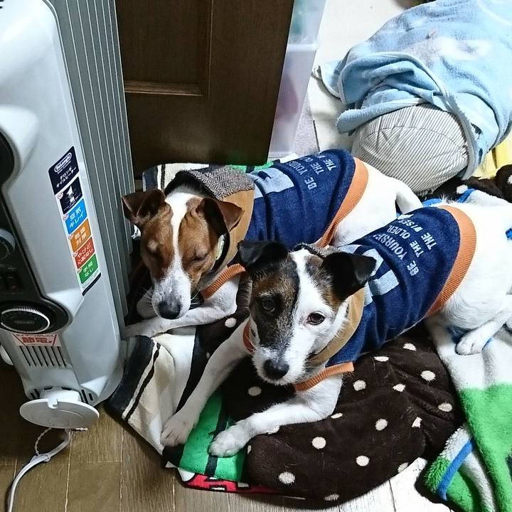 Ebd873b8 68ed 4a19 95d9 a92eeb2bd60a 1580601531992