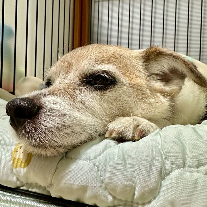 Ebd87a49 bad6 42e1 8269 118e72af248a 1717311904857