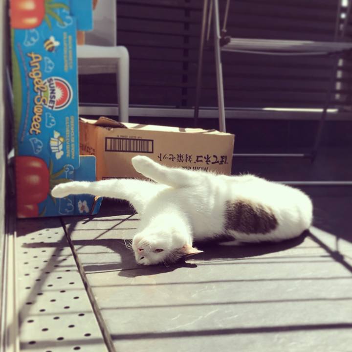 Ebd8c437 d758 4650 8545 42b093027974 1521033300303