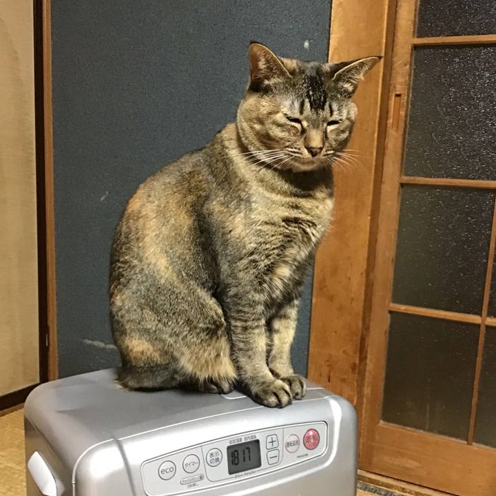 Ebd911f3 cb79 4edf 9cd3 dd64f8803ced 1673429456177