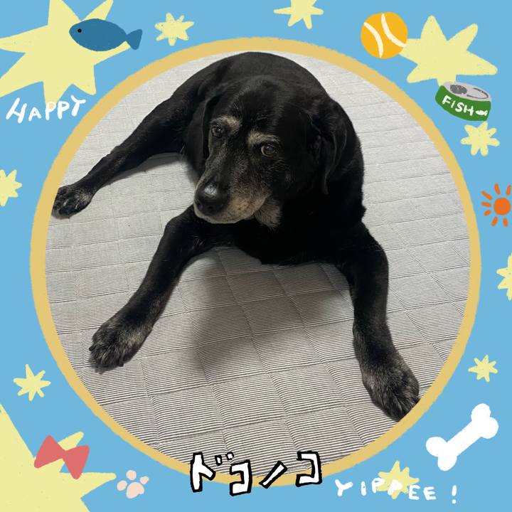 Ebd92ce1 ec3f 42f4 832c 98ac7ea62629 1720928620504