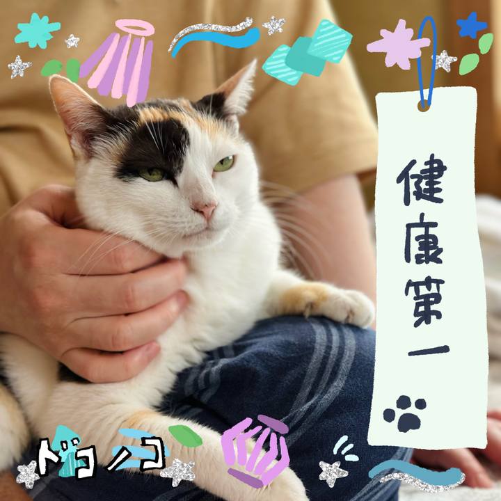 Ebd931e5 952a 4568 a2fb 11a00c4c6676 1720919706589