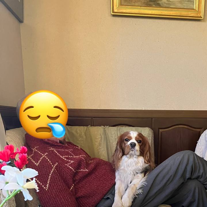 Ebd94c6b 85f3 4fec bda5 fa01cd11a6dd 1672753548294