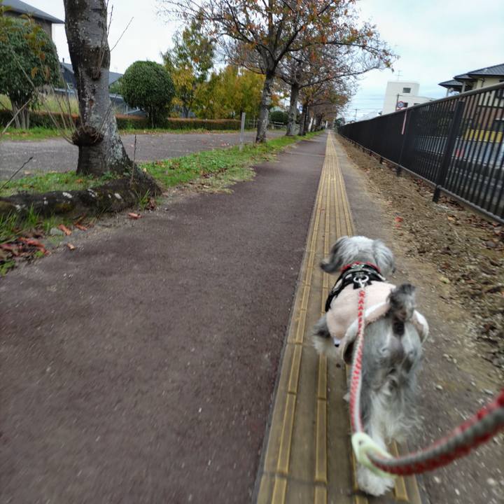 Ebd98e72 a476 40e6 8736 4f2955563a02 1732155858540