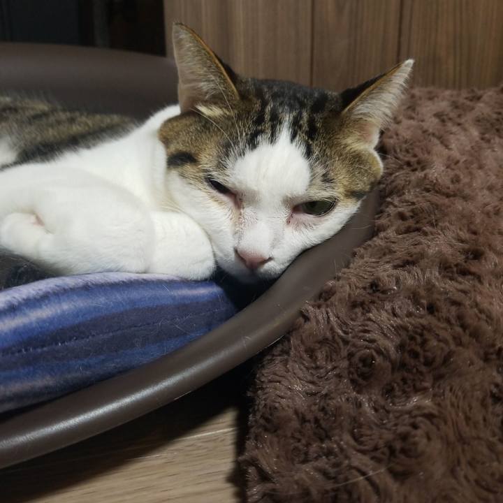 Ebd99cab f5d7 43fc 9dbc 8351b6c2fad6 1580764557481