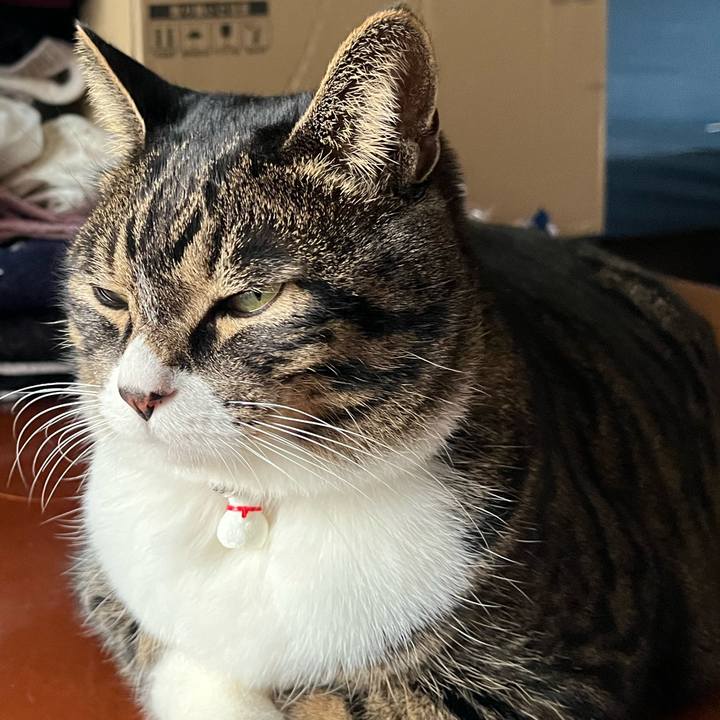 Ebd99d97 dff2 443c 946f 363343417823 1765326869595