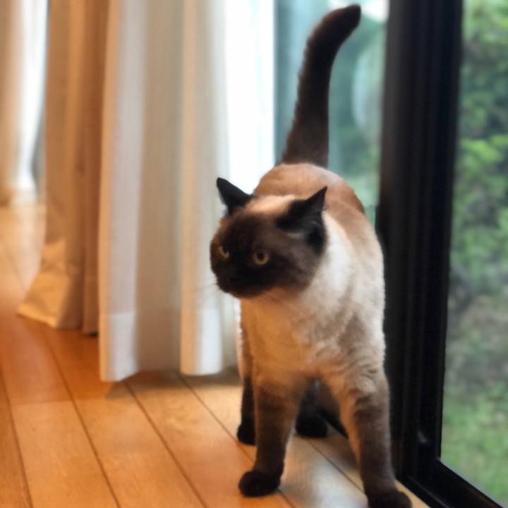 Ebd9a631 fa1c 41fe a399 777ac0081765 1624841765445