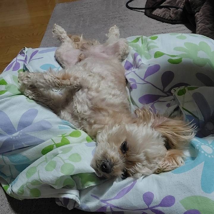 Ebd9e36b 9aa6 48a6 9cf8 382a8128ecbb 1641816303907