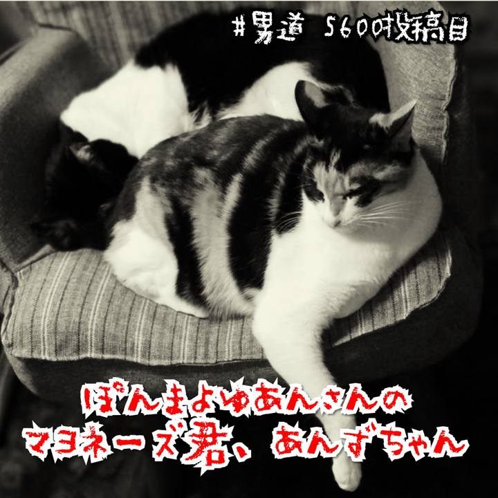 Ebd9fa79 0964 4dbd aa9e a9f8ed939283 1583547618826