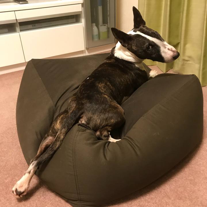 Ebd9ff89 85ab 4741 9ea3 530e420a1a29 1524579816098