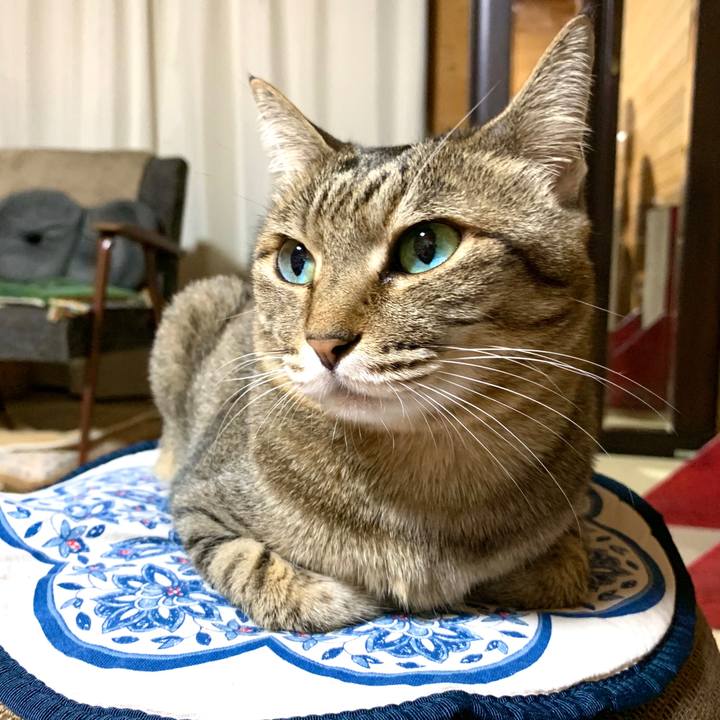 Ebda1161 8ff8 407c 97a5 7e2baa834244 1586439223513