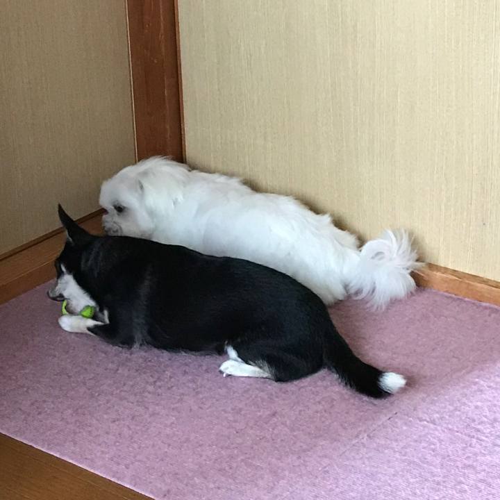 Ebda23fb 6fb3 4ade 9ee7 44764eced896 1507941514408