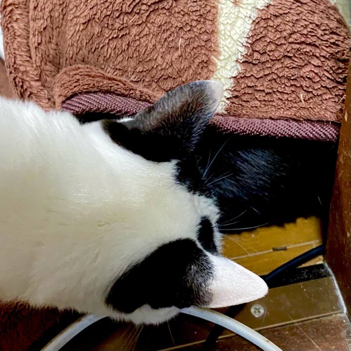 Ebda3c4c 0b09 44df abba 812b2df75f02 1645484481808