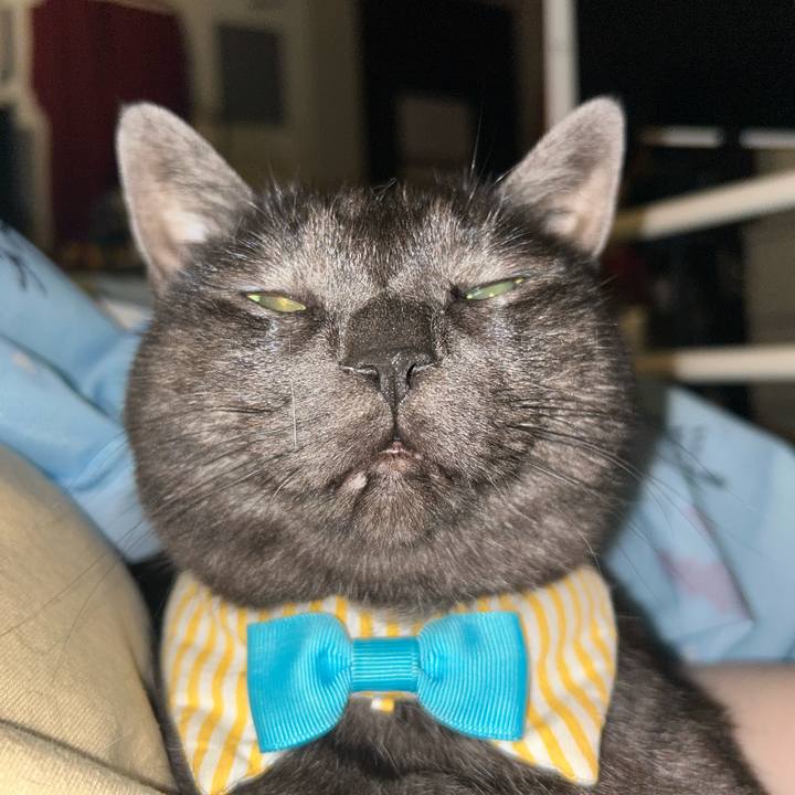 Ebda4d1e 2b4f 44ca 841b 6c802c74b0d4 1760151071009