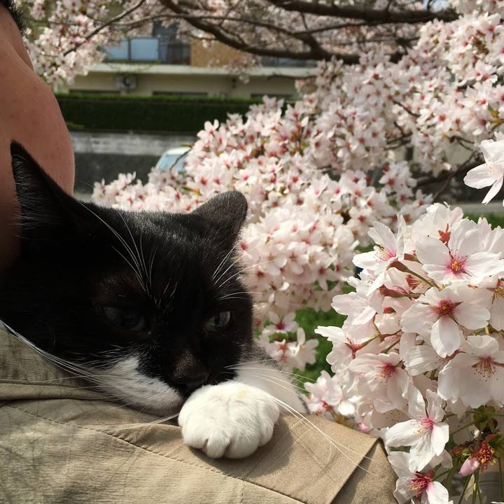 Ebda902f 307f 4565 b938 8c57bac06da0 1522583861684