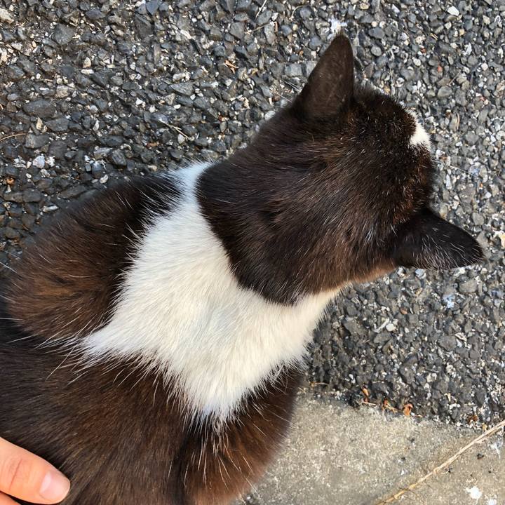 Ebdaa0ee 1293 43a5 a31a 51dc2218833f 1547196079612