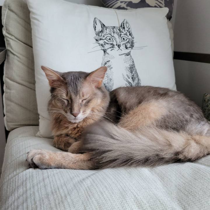 Ebdaa781 9e4e 49f8 8814 823cab946342 1685863047056