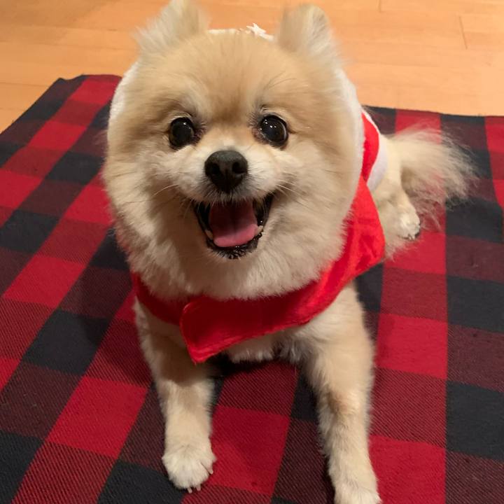 Ebdab139 c4ff 4852 b7df bb4a680ad2c0 1608806515090