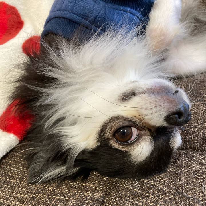 Ebdac3cc 186e 44b0 bc7c f9ea92e99007 1703933532740