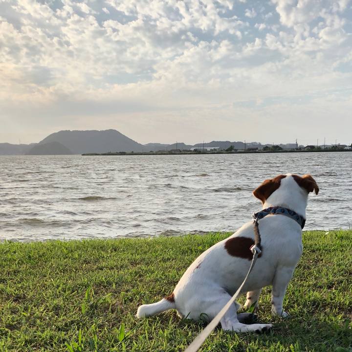 Ebdad9b8 1765 45eb a3a2 8094ec17d1b0 1538038012385