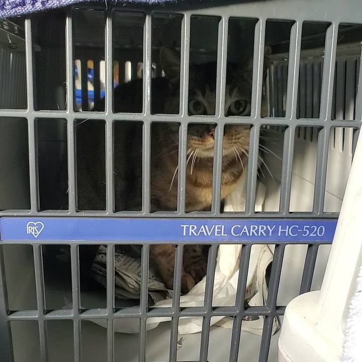 Ebdb004f a55e 4098 a12f 9e1bde61842b 1744272715227