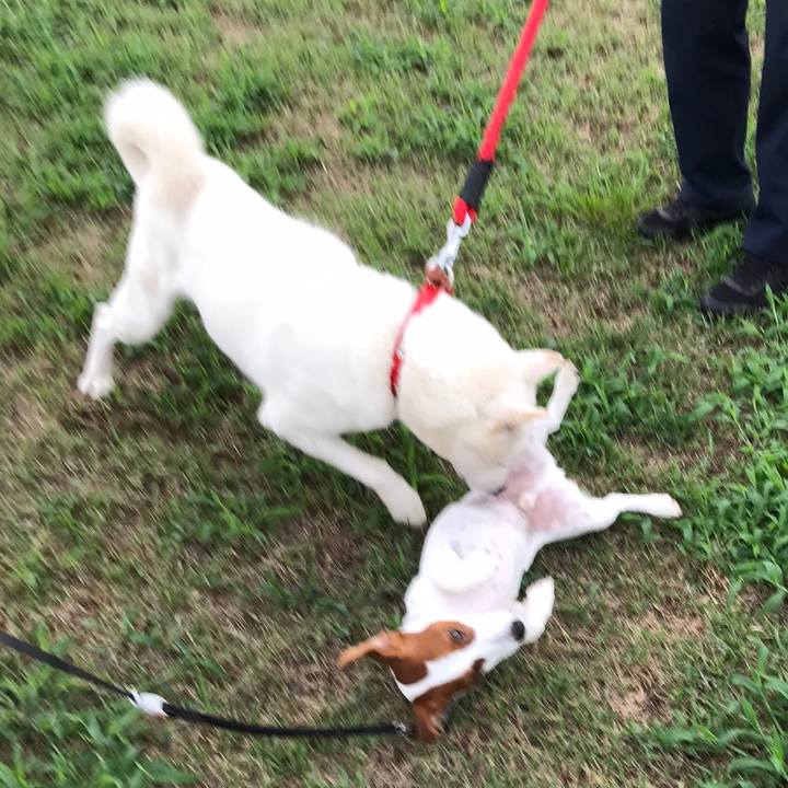 Ebdb0dc6 3bc5 4e89 9c70 ef9a7fd10206 1536376113053