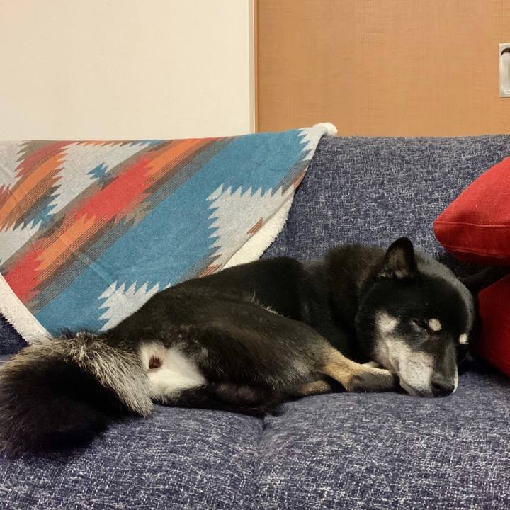 Ebdb500b 724a 42f4 ade5 23ab2a8e5d21 1609597430440