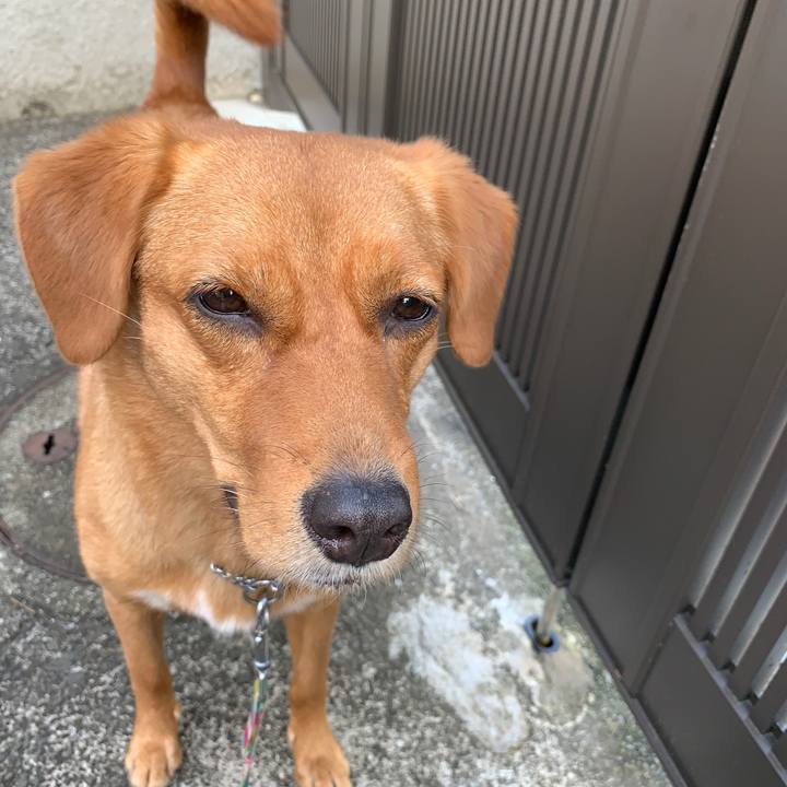 Ebdb5c78 16e8 4e8d a858 18f8ef4c2d1a 1567897011193