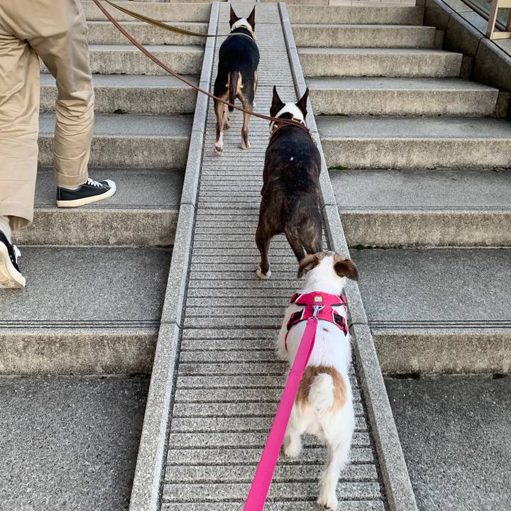 Ebdb771c 72b8 4b61 bb20 5cf72e3fa3fd 1573299678722