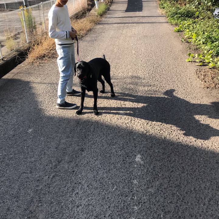 Ebdb8fdb 607b 4236 8407 eff6d882c62d 1574220353349