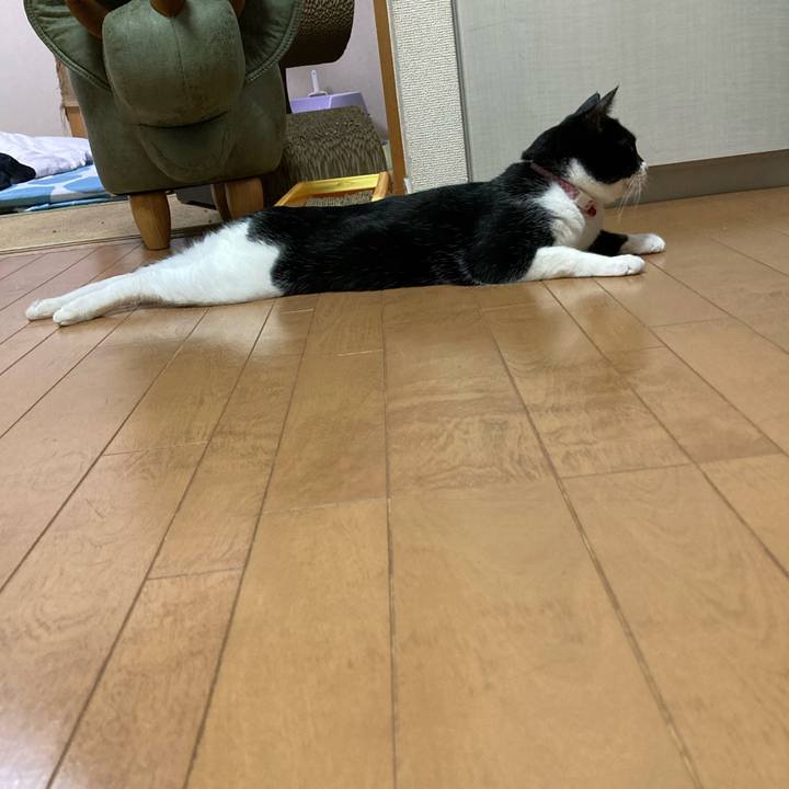 Ebdba16a f1aa 48f8 ba53 919a7fe8d8c3 1656102913351