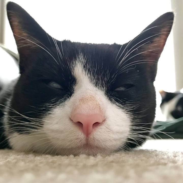 Ebdbdee5 98f7 4bf4 80b5 942ff8b22762 1511404470786