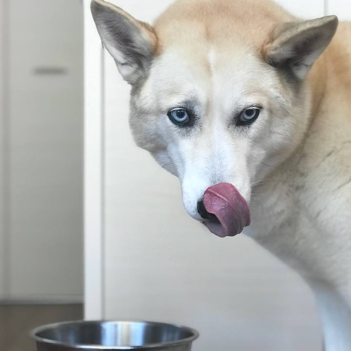 Ebdbe2e2 5c87 488b ac5b 4c2b8a32bce8 1642648130521