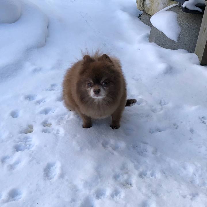 Ebdbe50d f749 43e4 b4a1 e764ff890722 1546227908461