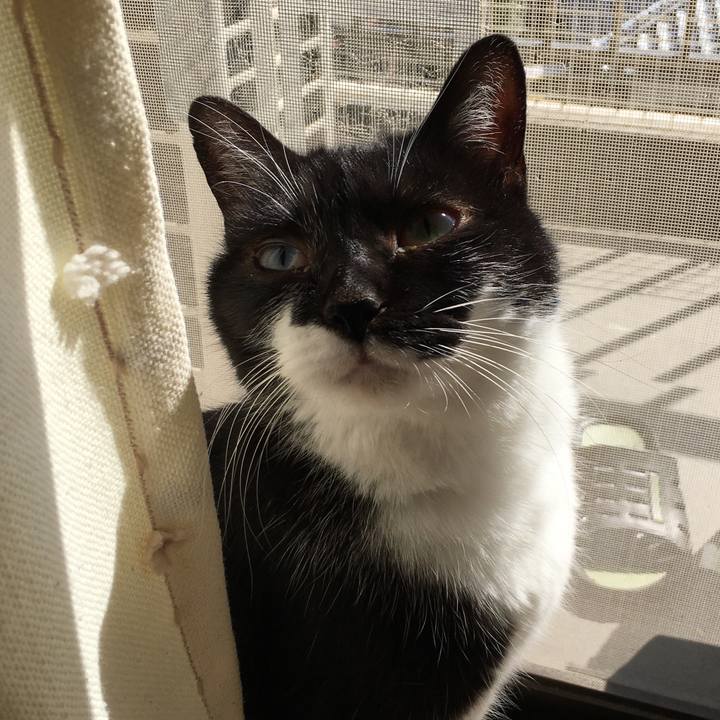 Ebdc3f36 c290 4381 8d9a f7de018b3f74 1586432097382