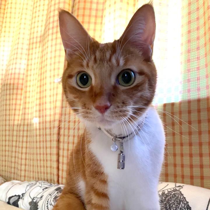 Ebdc6b87 c27f 458a 9ffe 418eb8317fed 1639901977140