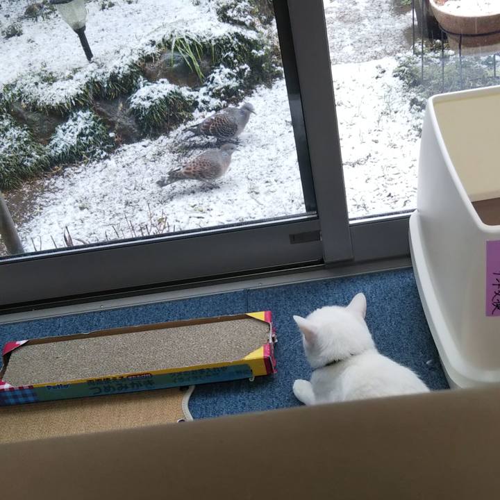 Ebdc7cdb 5a98 4c08 adf3 a91aded3fcdc 1644481804483