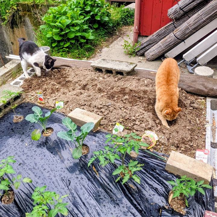 Ebdcae01 545b 4ff2 8e97 b0a67088e47d 1776182748372