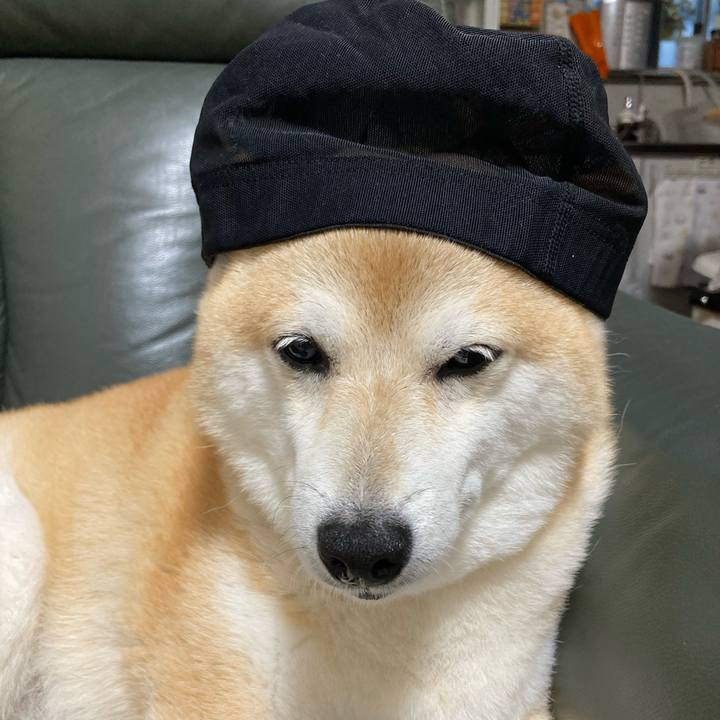 Ebdcba50 4299 4793 b660 1b364ecc2a95 1624618488119