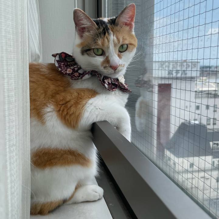 Ebdcbb3e 6ab5 4dc3 aa08 a017f63fcfe2 1752375970759