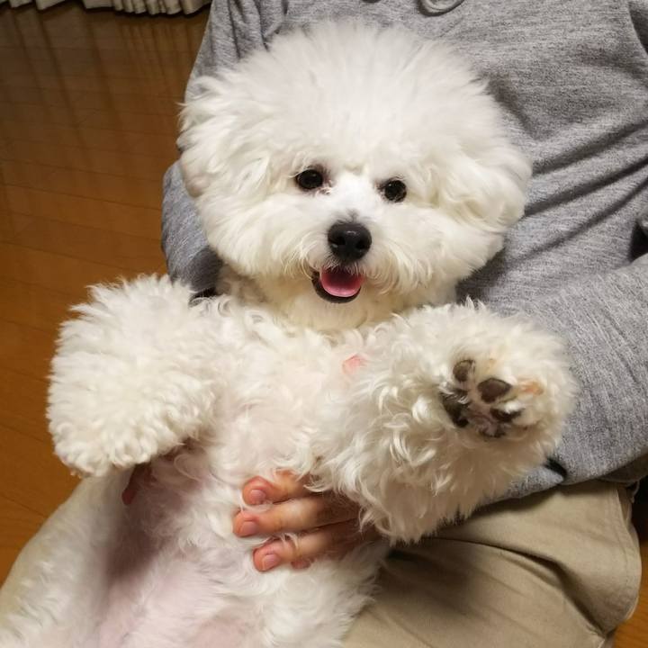 Ebdcbfb9 4672 458c 88e3 0141110a609c 1508931180912