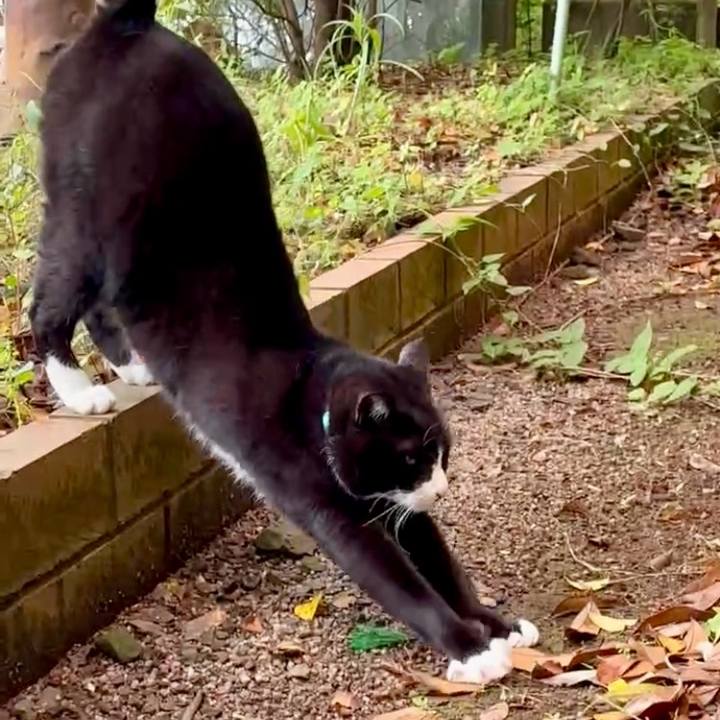 Ebdd0de7 5694 41be a947 cb5a1ac4650c 1747879645013