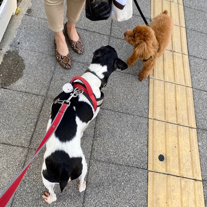 Ebdd44e3 4741 44e6 9196 71ff7288fbdc 1590237574883