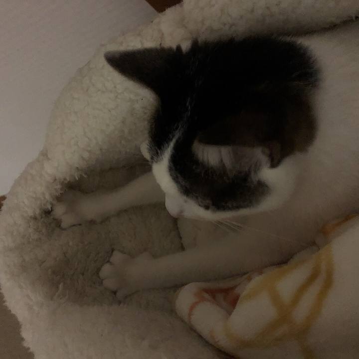 Ebdd4ef2 ac7f 4494 aa33 c3785a82d292 1639662817357