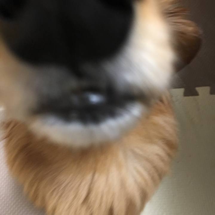 Ebdd8bca eaa0 43bf 909b 30d2ac62fec7 1524578070577